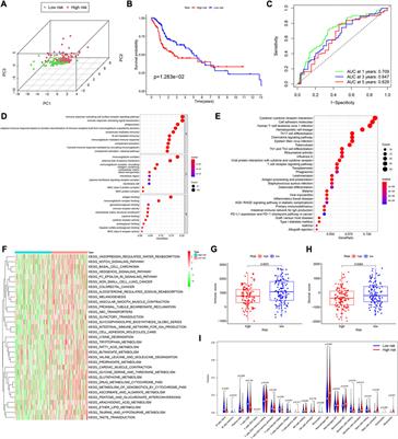 Effective TME-related signature to predict prognosis of patients with head and neck squamous cell carcinoma